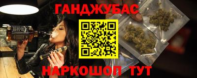 индика Кингисепп