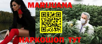 индика Кингисепп