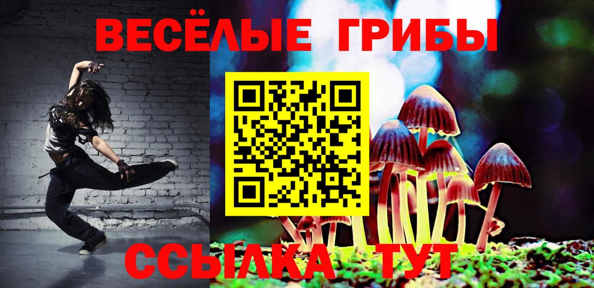 Галлюциногенные грибы ЛСД  Вход с VPN  даркнет сайт  Кирово-Чепецк  Псилоцибиновые грибы Psilocybine cubensis 